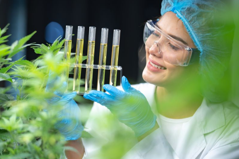 6-11-Como-o-Homem-Transformou-Plantas-Medicinais-em-Drogas-e-Remédios